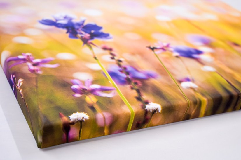 Fotoobraz 50x30cm